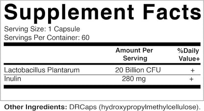 Vitamatic Lactobacillus Plantarum - 20 Billion per DR Capsule - 60 Count - Digestive Support - Made with Prebiotic Inulin Fiber