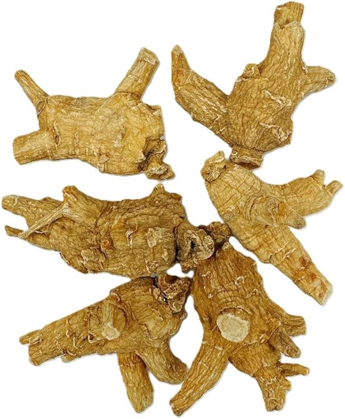 Hand-Selected A Grade American Ginseng Large Round Jumbo Size (4 Oz. Box)