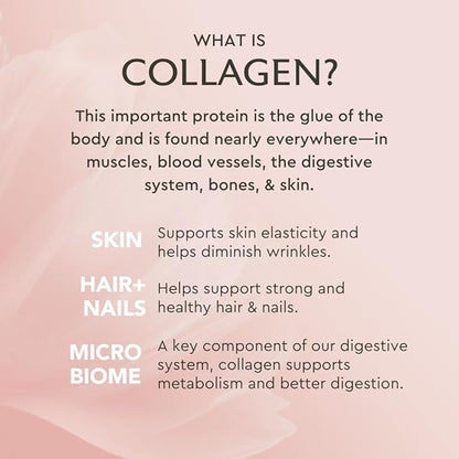 Alaya Multi Collagen Powder - Type I, II, III, V, X Hydrolyzed Collagen Peptides Protein Powder Supplement with MSM + GC (Vanilla)
