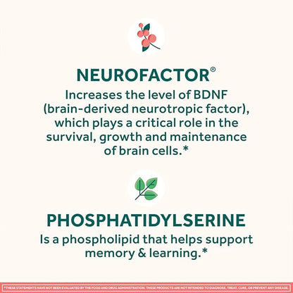 NEURIVA Original Brain Supplement for Memory, Focus & Concentration + Learning & Accuracy with Clinically Tested Nootropics Phosphatidylserine and Neurofactor, Strawberry Flavor, 50 Gummies (2 Pack)