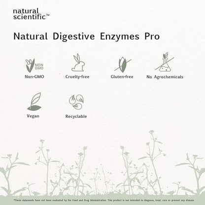 Digestive Enzymes Pro - 18 Natural Enzymes for Digestion from Papaya, Pineapple & More - with Probiotics and Prebiotics - Plant-Based - 60 Capsules - Premium Dietary Supplement