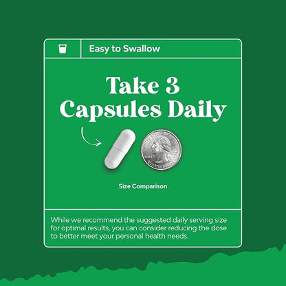 Ox Bile Salts for Gallbladder Support - Purified Bile Salts Supplement with Pancreatin Digestive Enzymes Ox & Betaine HCL - Supplements for No Gallbladder & Digestive Health 2 Months
