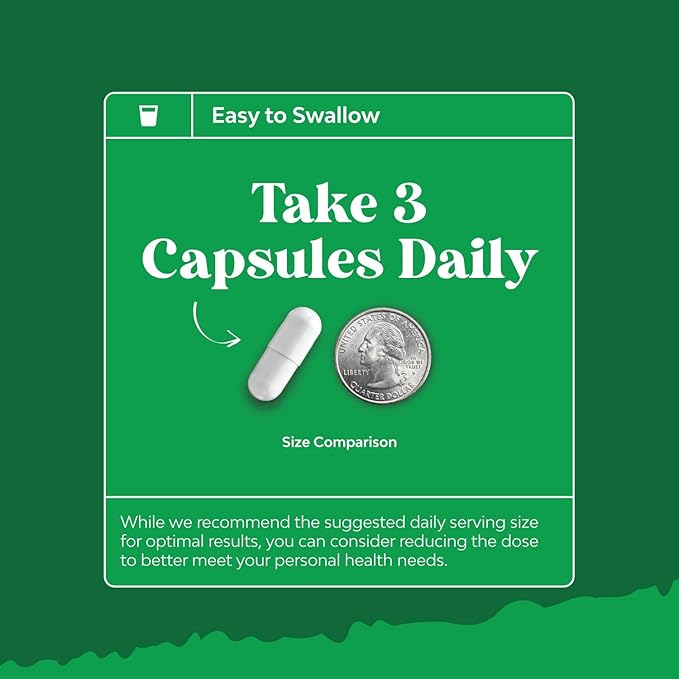 Ox Bile Salts for Gallbladder Support - Purified Bile Salts Supplement with Pancreatin Digestive Enzymes Ox & Betaine HCL - Supplements for No Gallbladder & Digestive Health 20 Days