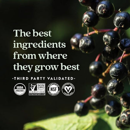 New Chapter Elderberry Gummies for Adults & Kids (2+), USDA Organic 64x Concentrated Elderberry for Immune Support, Great-Tasting Whole-Food Gummies, Vegan & Non-GMO - 60 ct