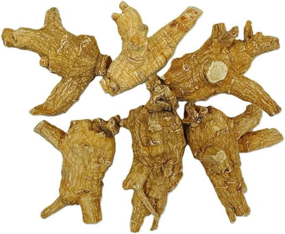 Hand-Selected A Grade American Ginseng Large Round Jumbo Size (4 Oz. Box)