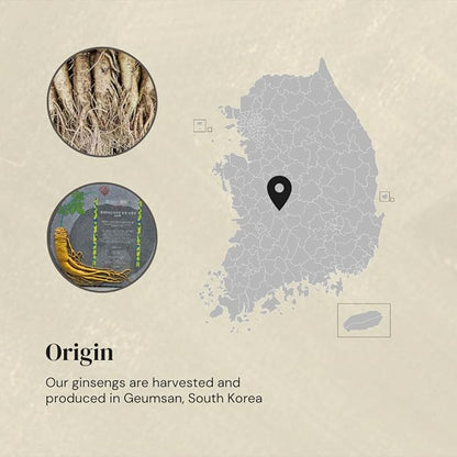 Gumiho Ginseng Powder- Korean Panax Ginseng & Yam from Geumsan; Ginsenosides Supports Immune System; Yam Supports Digestive System, Increasing Health Benefits; Ideal for Drinks, Bakeries, Savories