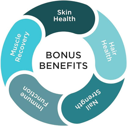 Purity Products Bundle - JointGel (Berry Powder) + JointGel (Super Chocolate Powder) Bioactive Collagen Peptides + MSM - Supports Joint Function and Flexibility While Fortifying Joint Cartilage