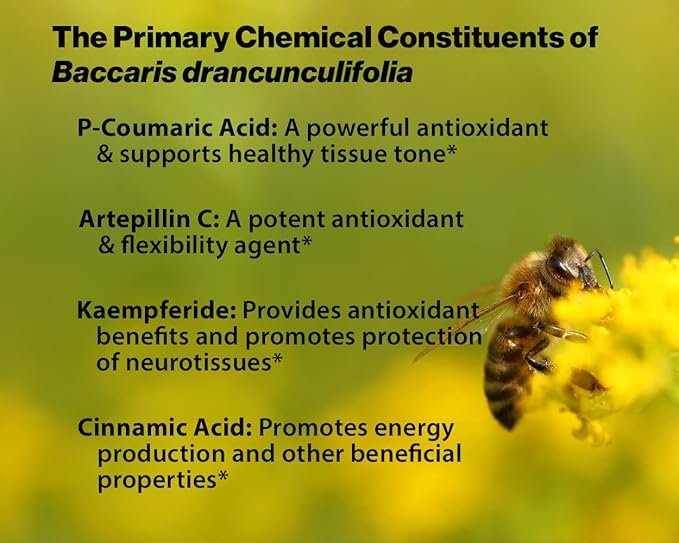 Dr. Ohhira's Propolis Plus 30 Capsules with Brazilian Green Propolis