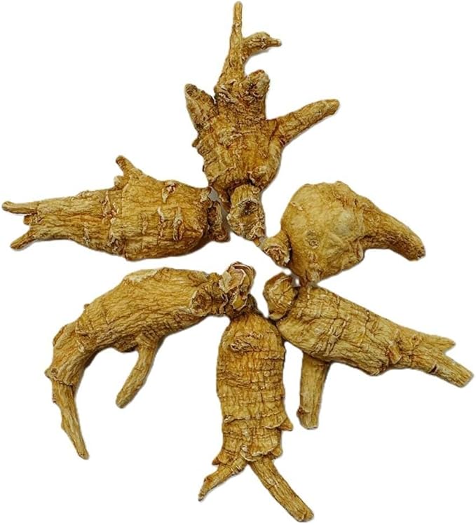 Hand-Selected A Grade American Ginseng Medium Round Size (4 Oz. Box)