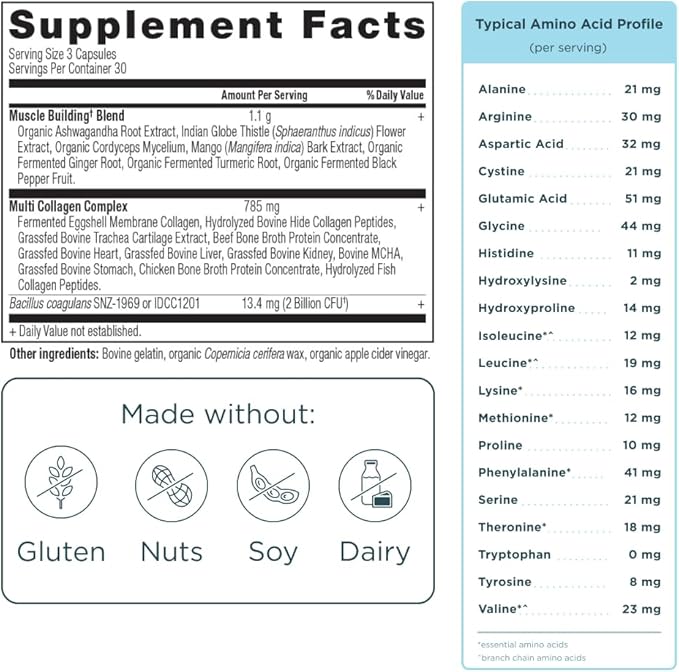 Ancient Nutrition Multi Collagen Advanced Capsules, Muscle, 90 Count + Multi Collagen Protein Powder, Unflavored, 45 Servings
