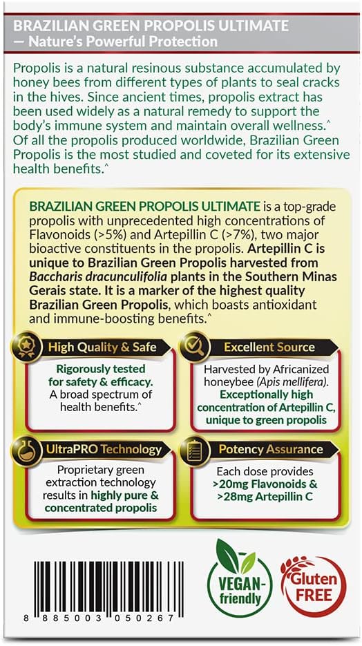 LABO Nutrition Brazilian Green Propolis Ultimate - Contains >7% or 28mg per Serving Artepillin C & >5% Flavonoids, for Immune & Brain Support, Natural, High Concentrate & Premium, 60 Veg Capsules