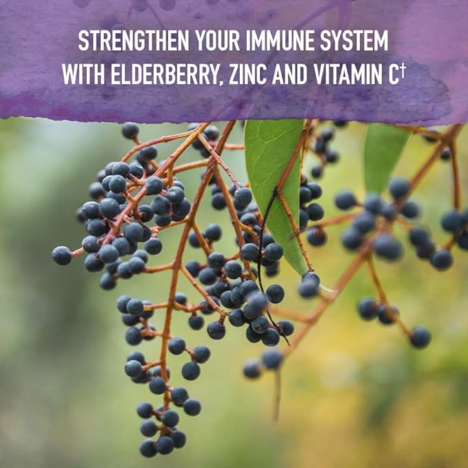 Garden of Life Organics Elderberry & Sleep Immune Syrup - Immune Support for Adults and Kids 12 and Older with Zinc and Vitamin C, Organic Liquid with Sleep Herbs, No Added Sugars, 6.59 fl oz