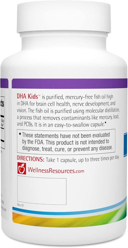 Wellness Resources DHA Kids - Sugar Free Omega 3 for Children - Mercury-Free Fish Oil - Brain Health Supplement & Immunity Supplement - Eye and Nerve Support - 90 Softgel Capsules Omega 3