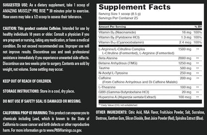 Pre Rise | Pre-Workout Powder Supplement with Caffeine & Beta-Alanine for Men & Women | 25 Servings (25 Servings, Blueberry Pomegranate Blast)