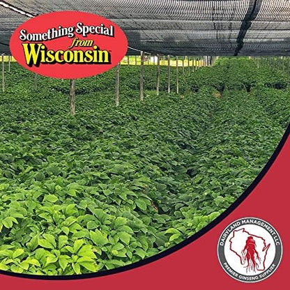 Dairyland Premium American Ginseng Powder 西洋参 - 16 oz Pack of Wisconsin Ginseng Root Powder - Non-GMO, Gluten Free Powdered Ginseng - Use Ginseng Herbal Supplement for Smoothies, Baking, Tea