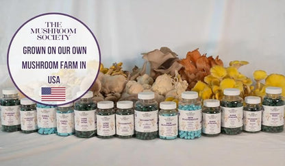 Skin Rejuvenation Supplement - Lion’s Mane, Oyster Mushroom, Vitamin E & Flush Free Niacin -Supports Skin Health & Radiance - 120 Capsules