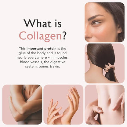 Alaya Naturals Hydrolyzed Multi Collagen Peptides Protein Capsules - Type I, II, III, V, X Grass-Fed Bovine, Chicken, Marine Collagen Supplement with MSM + GC (Capsules - 120 Count)