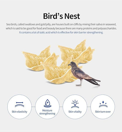 [K Beauty] Bird's Nest Ampoule Sheet Mask | Hyaluronic Acid Sheet Mask | Maximum Hydration and Protection for All Dry Skin Types | Korean Skincare Facial Mask | 10 Sheets
