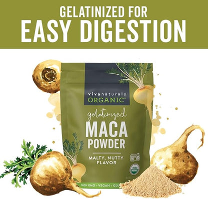 Viva Naturals Organic Maca Powder - Gelatinized Maca Powder for Easier Digestion, Vegan and Kosher Peruvian Superfood - Certified USDA Organic, Gluten-Free & Non-GMO, 1 lb Resealable Bag