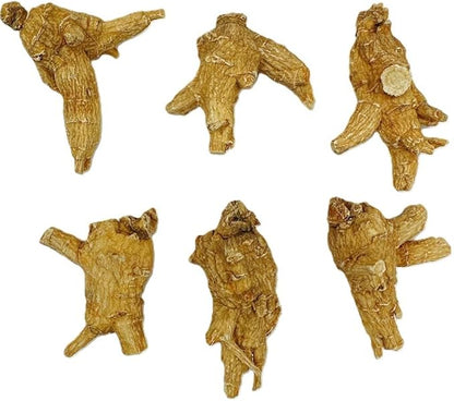 Hand-Selected A Grade American Ginseng Large Round Jumbo Size (4 Oz. Box)