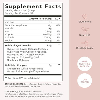 Alaya Multi Collagen Powder - Type I, II, III, V, X Hydrolyzed Collagen Peptides Protein Powder Supplement with MSM + GC (Chocolate)