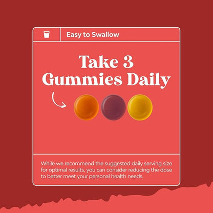 Tasty Prebiotic Fiber Gummies for Adults - High Fiber Supplement Gummies Vitamins for Adults with Prebiotic Soluble Chicory Root for Immunity and Digestive Support - Non GMO Vegan Halal 60 Count