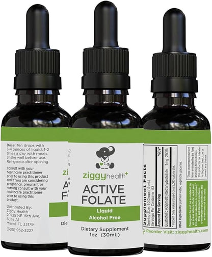Active Folate Pure Liquid Extract Supplement - L-Methylfolate for Better Absorption, Brain Health, Improve Cellular Function, Support Immune System, Water Soluble B Complex, 1oz - by Ziggy Health