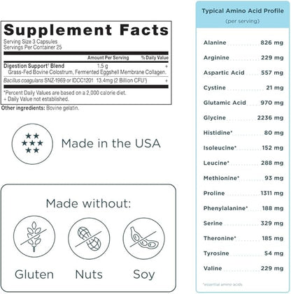 Ancient Nutrition Colostrum Superfood + Collagen, Grass Fed Bovine Colostrum, Fermented Eggshell Membrane Collagen, Supports Healthy Gut Microbiome and Immune System, 75 Count