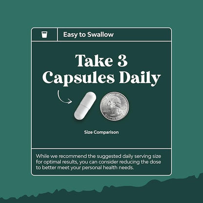 Digestive Enzymes with Ox Bile - Ox Bile Supplements for No Gallbladder with Trypsin, Papain & Bromelain Enzyme for Pancrease Cleanse & Detox - Pancreatin Digestion Enzymes for Women & Men - 90 Ct