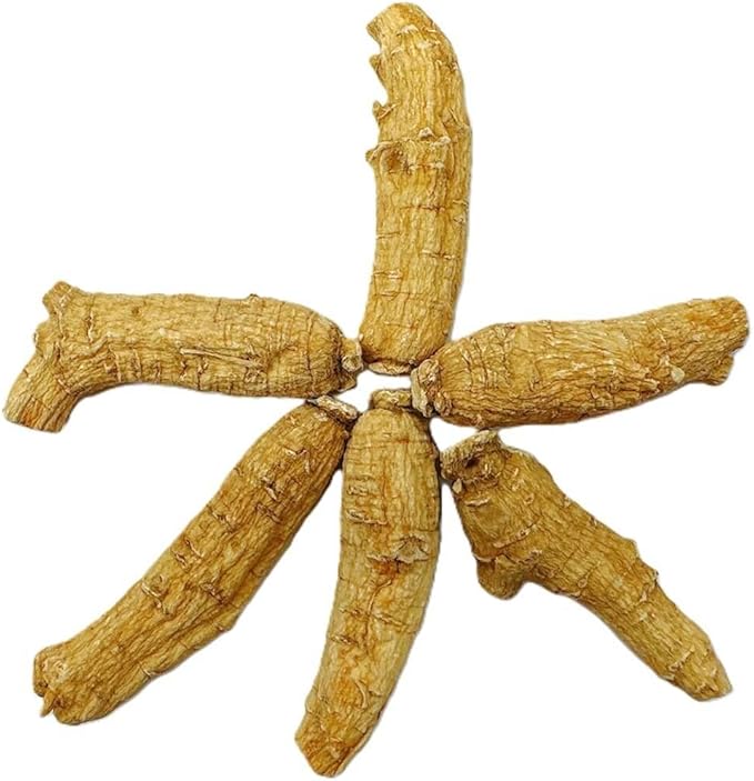 Hand Selected A Grade American Ginseng Root Large Short (4 Oz. Box)