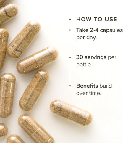 Cordyceps Mushroom Capsules by Bloomable I Energy and Endurance (120 Capsules)