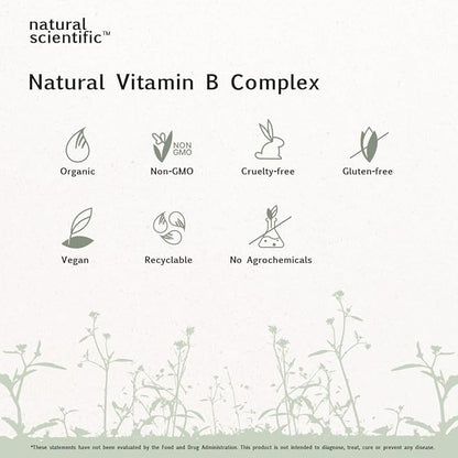 Organic Vitamin B Complex Supplement - for Women and Men - Vegan, Gluten-Free, Non-GMO - 1-Month Supply - 30 Capsules - Premium Dietary Supplement