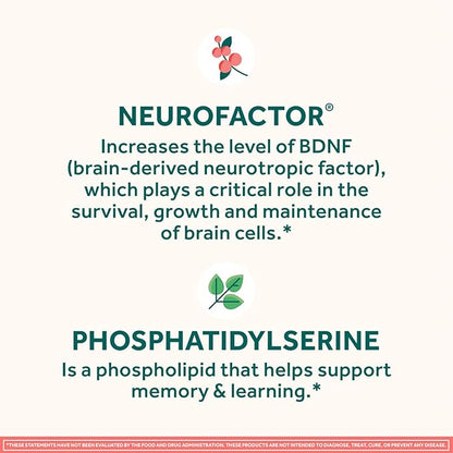 NEURIVA Original Brain Supplement for Memory, Focus & Concentration + Learning & Accuracy with Clinically Tested Nootropics Phosphatidylserine and Neurofactor, Caffeine Free, 30 Capsules (3 Pack)