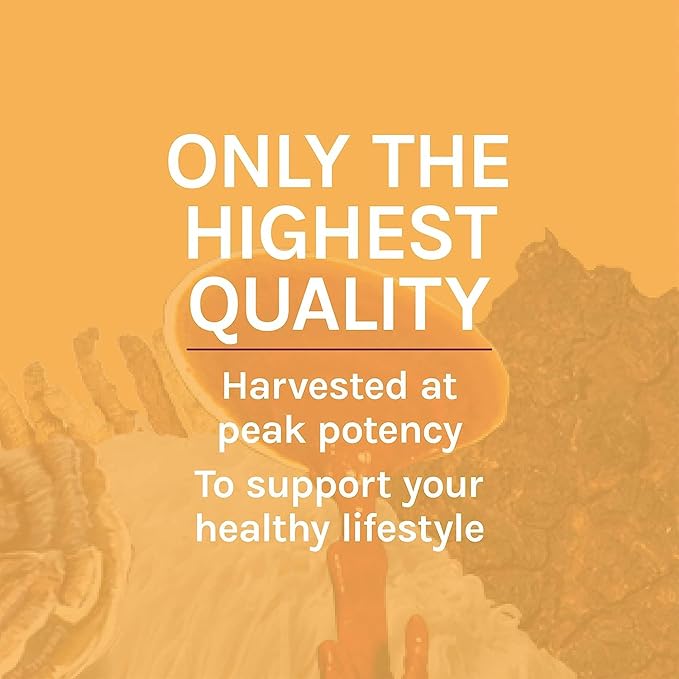 Host Defense Cordyceps Extract - Immune & Energy Support Supplement - Kidney Health Supplement with Cordyceps - Fitness Support to Aid Oxygen Uptake - 2 fl oz (60 Servings)*