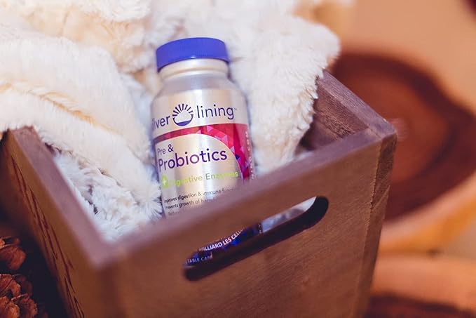 Silver Lining Pre & Probiotics + Digestive Enzymes | 50 Billion CFU/Active Cells | Digestive & Immune Function Support, Reduces Bloating | Shelf-Stable Formula | 120 Count (Pack of 1)
