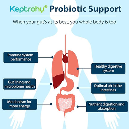 Probiotics for Women & Men, 300 Billion CFU Probiotics from 12 Strains + Organic Prebiotics Blend for Daily Digestive, Immune, Gut, Bloating, Gut Health for Women & Men, Shelf Stable - 60 Capsules