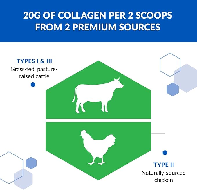 BioTrust Tri Collagen Powder - 3-in-1 Hydrolyzed Collagen Peptides Powder (Types I, II, & III) - Grass Fed Collagen Protein Powder for Anti Aging, Skin, Hair, Bone & Joint Health - Unflavored, 2-Pack