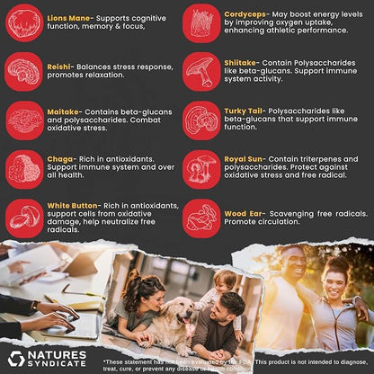 Mushroom Complex Supplement - Natural Brain Nootropic for Cognitive Wellness, Clarity, Focus, Memory & Immune System Support, 10 Mushroom Cordyceps, Reishi, Lions Mane, Turkey Tail