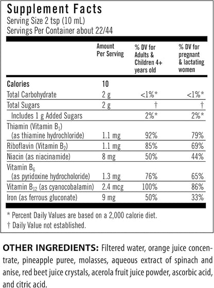 Flora Iron - Vegan Liquid Iron Supplement with B Vitamins - Offers Red Blood Cell & Energy Support - Yeast-Free & Gluten-Free - Delicious Fruit Juice Base - 15 fl. oz. Glass Bottle