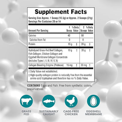 Natures Plus Collagen Peptides - 0.65 lbs Powder, Pack of 2 - Hair, Skin, Nail & Joint Health, Immune System Support - Non-GMO, Gluten Free - Up to 56 Total Servings