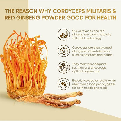 Dong Thao NAM - Organic Red Ginseng and Cordyceps Powder, 6 in 1 Herbal Extract, Increases Alertness, Increases Energy and Reduces Fatigue, Caffeine Free, Pack of 30