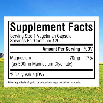 Innate Vitality Magnesium Glycinate 500mg | 70mg Elemental Magnesium Supplement- High Absorption, Non-GMO & No Gluten - Supports Nerve, Muscle, Bone & Heart Health - 240 Vegan Capsules Magnesio