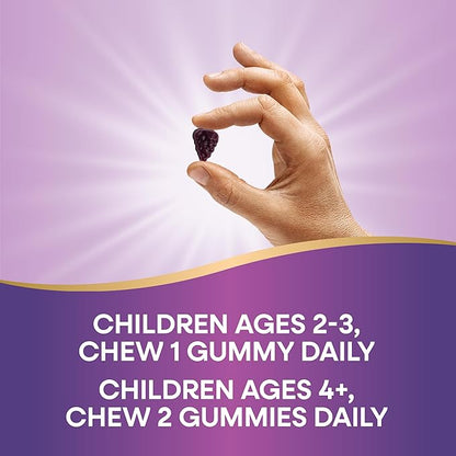Nature's Way Sambucus Zero Sugar Immune Gummies for Kids, Daily Immune Support*, Black Elderberry Extract, Vitamin C, Zinc, No Sugar Alcohols, Plant-Based Sweeteners, 70 Gummies