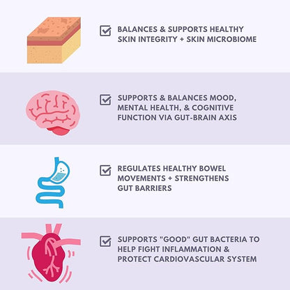 CoLymph® Daily Synbiotic Upgraded 24 Strains, 65 Billion CFU, High Potency Prebiotics + Probiotics | Non-Dairy, Supports Gut Health, Digestion, Bloating, Mood, 30 Vegan Capsules