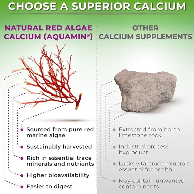 Plant-Based Calcium 600mg (Aquamin) – Vegan Calcium Magnesium Zinc D3 with Vitamin K2 & Organic Turmeric – Enhanced Bone and Muscle Health & Strength, Immune Support for Women & Men - 90 Count