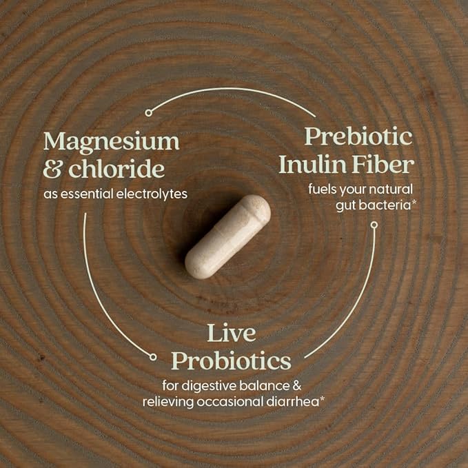 New Chapter All-Flora Probiotic Flora Fortify, Ultra-Concentrated Probiotics for Digestive Health, Survives Antibiotic Use, with Electrolytes + Inulin Prebiotic Fiber, 100% Vegan, 14-Day Supply