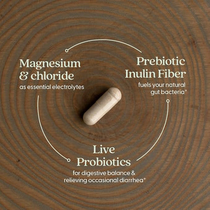 New Chapter All-Flora Probiotic Flora Fortify, Ultra-Concentrated Probiotics for Digestive Health, Survives Antibiotic Use, with Electrolytes + Inulin Prebiotic Fiber, 100% Vegan, 14-Day Supply