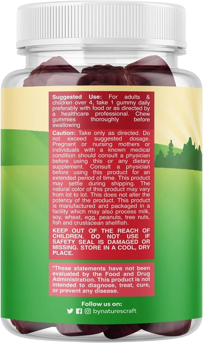 Natures Craft Kids Elderberry Gummies with Zinc and Vitamin C - Delicious Sambucus Black Elderberry Gummies for Kids Immune Support - Daily Immunity Support Vegan Non-GMO Gluten and Gelatin Free