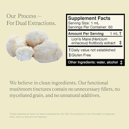 Lions Mane Extract - Double Extracted Fruitbody Mushroom Tincture, Natural Support for Mental Clarity, Brain Function, Memory, Cell Regeneration, Creativity & Mood (60 Servings)