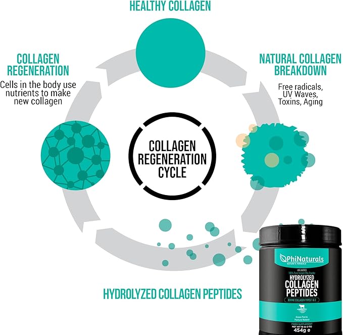 PhiNaturals Hydrolyzed Collagen Peptides Powder (unflavored) for Women and for Men - Grass Fed Bovine Beef Collagen